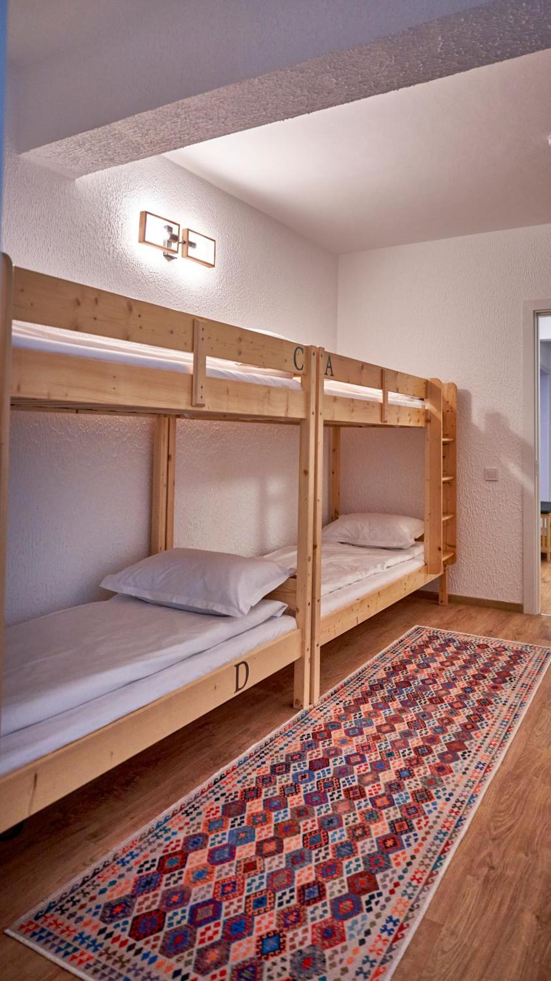 Family Treez Premium Apartments 포이아나브라소프 외부 사진