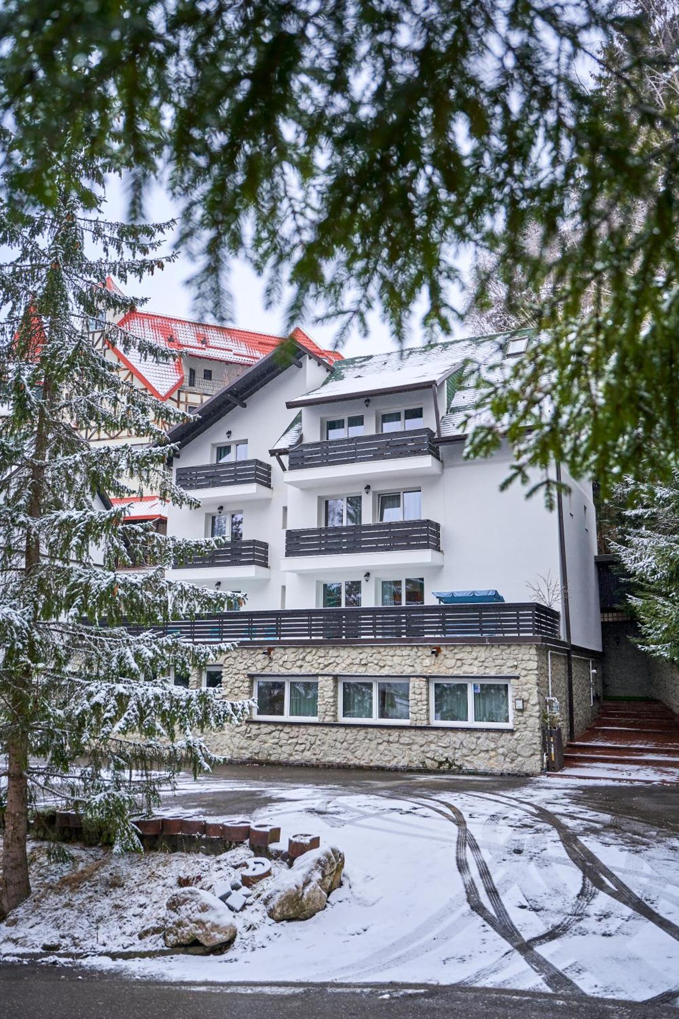 Family Treez Premium Apartments 포이아나브라소프 외부 사진